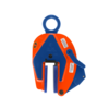 Vertical Lifting Clamps Non Marring- IPNM10 series