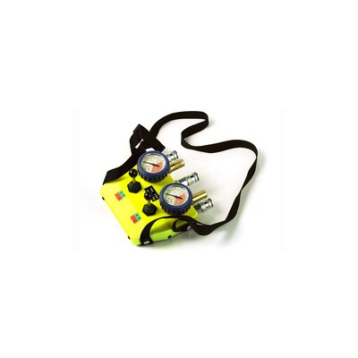 Double Controller RLB