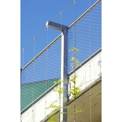 Product Picture 1