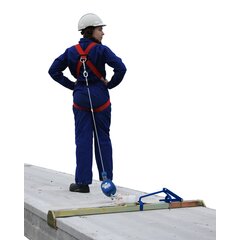Leenstra Mobile Anchor