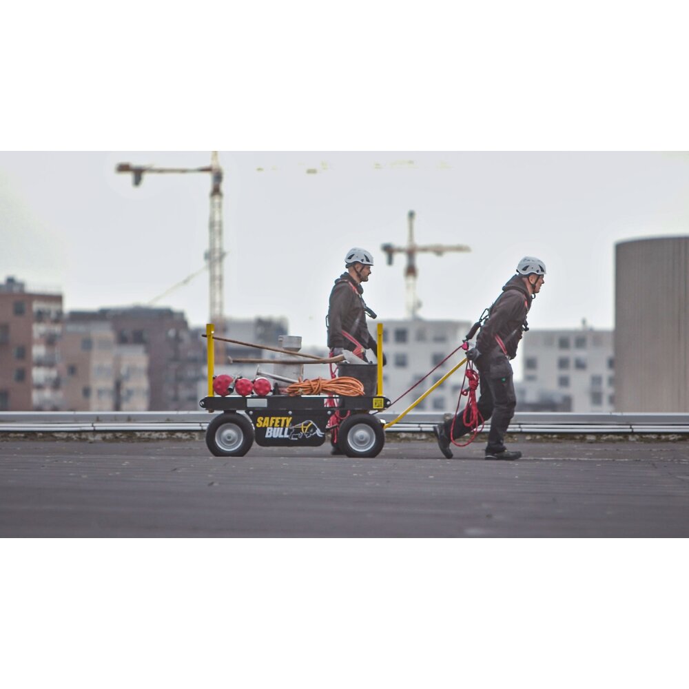 SafetyBull mobiel ankerpunt