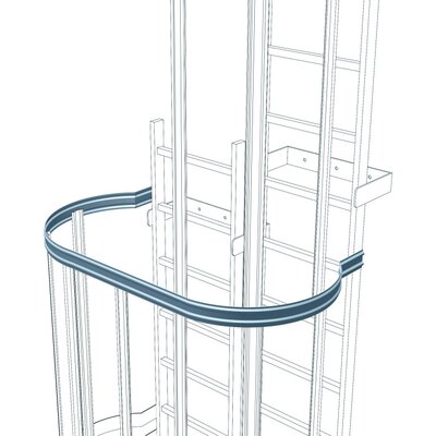 Fixed ladder systems 
